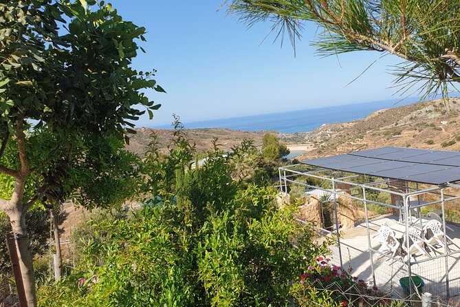 2-Hour Botanic Garden Tour in Akoursos - Herbs, old tools, and a small village museum