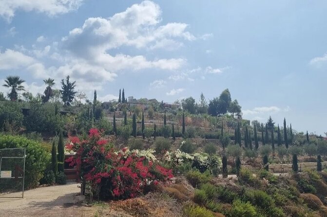 2-Hour Botanic Garden Tour in Akoursos - A quick look at the glamping pods