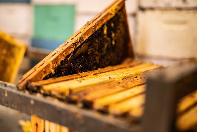 30-Minute Guided Honey Tasting Activity in Melini - A short visit with a lot of honey behind it