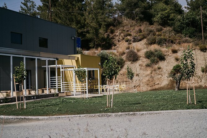 30-Minute Guided Honey Tasting Activity in Melini - Meeting Maria at Cyprus Honey Oros Maxaira