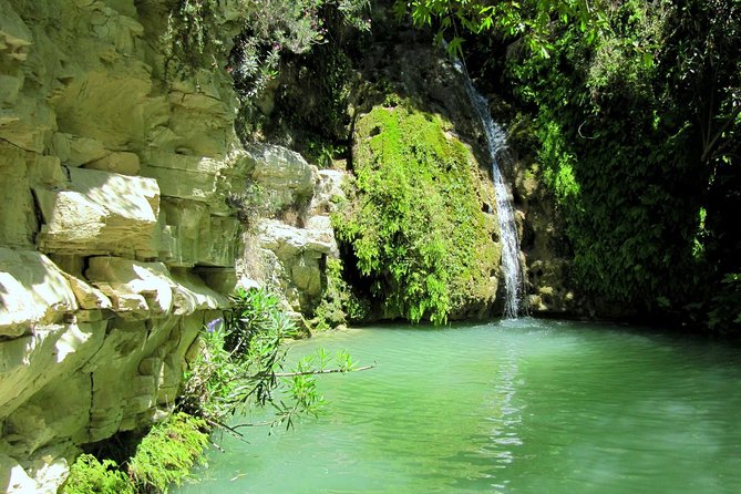 4 hour Quad & Buggy Safari Akamas(lara Bay) & Adonis Falls - Why this Akamas ride works so well