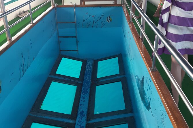 90-Minutes Glass Bottom Trip With Quick Dip - A short boat ride with a clear purpose