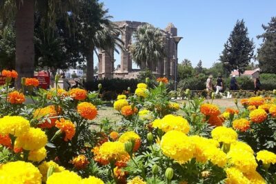 A Day Trip to Medieval FAMAGUSTA (Kyrenia, Nicosia or Famagusta )
