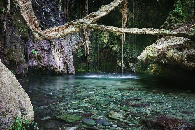 Akamas, Baths of Aphrodite and Blue Lagoon Day Tour from Paphos - Who should book this day trip?