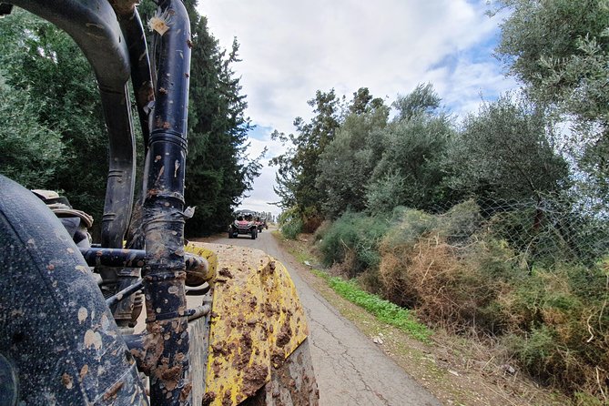 Beach & Off road Buggy Safari in Paphos - Mandria Beach Bar Shack is the relaxed finish
