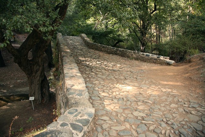 Beauty, Nature and Charm of Troodos Mountains from Paphos - Troodos Square and time for lunch