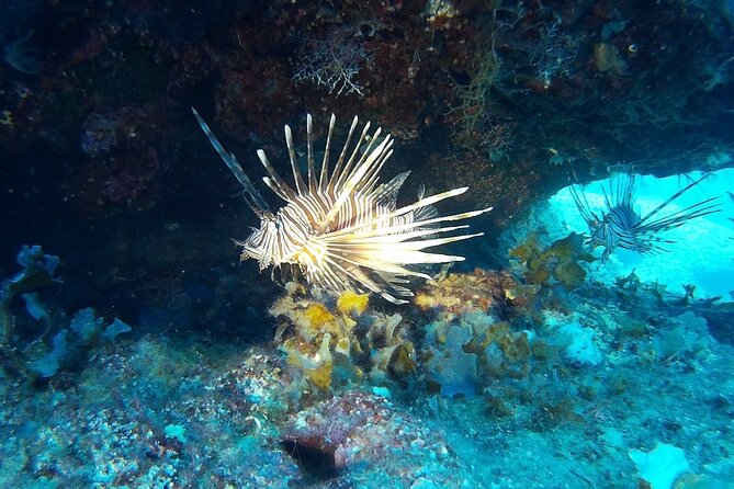Beginners Discover Scuba Diving By Boat, Best Spot In Cyprus - Learning the basics before going below