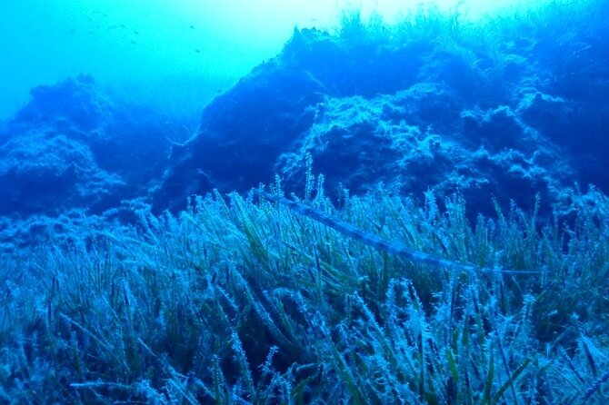 Beginners Discover Scuba Diving By Boat, Best Spot In Cyprus - Why the small-group format matters