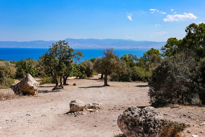 Blue Lagoon and Aphrodite’s Birthplace Day Tour from Limassol - Latchi gives you time before the cruise
