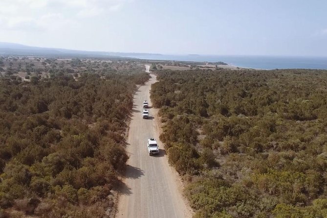 Cruise and 4X4 Safari Tour at Akamas Peninsula from Paphos - Why Akamas works so well as a one-day outing