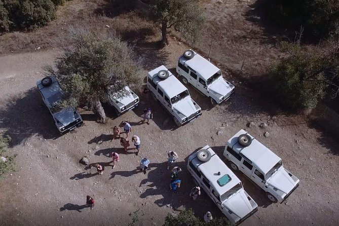 Cruise and 4X4 Safari Tour at Akamas Peninsula from Paphos - Lara Bay and the turtle conservation area