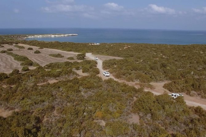 Cruise and 4X4 Safari Tour at Akamas Peninsula from Paphos - The 4x4 ride and group size