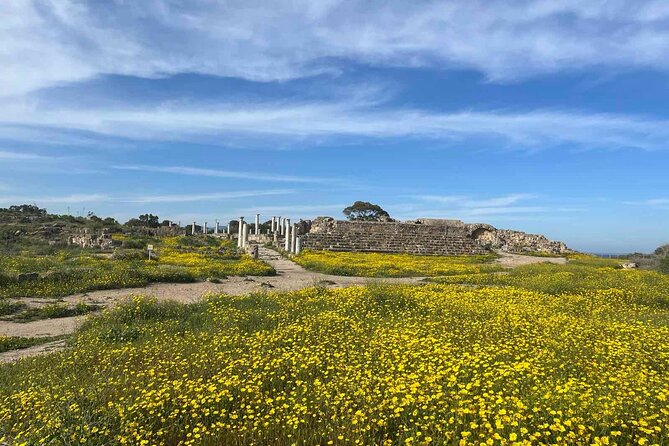 Day Tour to Famagusta, Ghost Town & Ancient Salamis - The long ride from Paphos to Choirokoitia