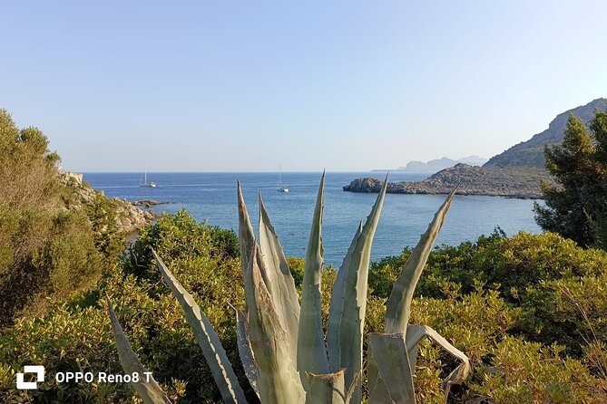 Day Trip to the Paphos amazing sides from Limassol. - Should you book it?
