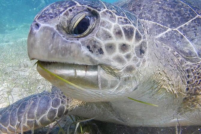 Discover Scuba diving - Is $102.79 good value?