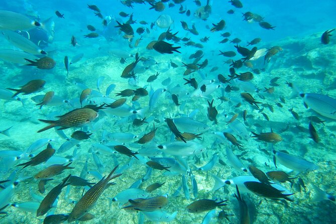 Discover Scuba Diving - Photos, memories, and extra cost