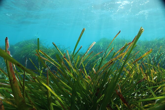 Discover Scuba Diving Amathounta's Ancient Port - Why the 5-meter limit helps beginners