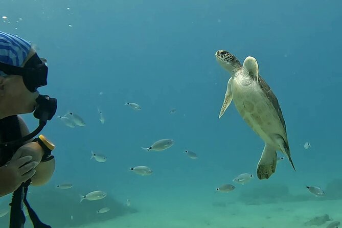 Discover SCUBA Diving with Pissouri Bay Divers - Why the small group matters