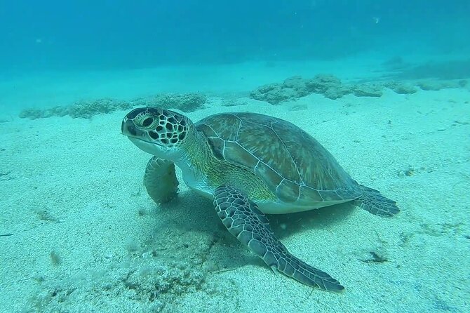 Discover SCUBA Diving with Pissouri Bay Divers - Heading to the sea from Limassol