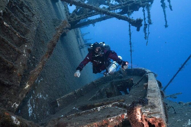 Dive The Rock (Scuba Diving Experience in Protaras) - Fish, turtles, and statues under the surface