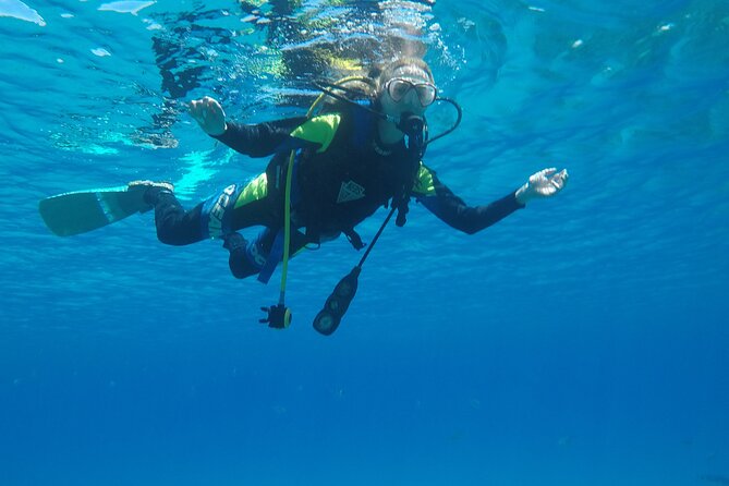 Dive The Rock (Scuba Diving Experience in Protaras) - Getting there and planning your day