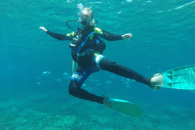 Dive The Rock (Scuba Diving Experience in Protaras) - Who will enjoy this most