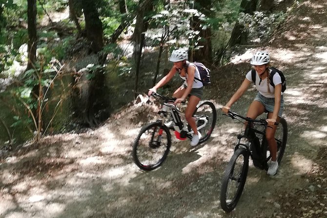 Explore Paphos forest with e-mountain bikes - Why Paphos Forest is worth leaving the coast for
