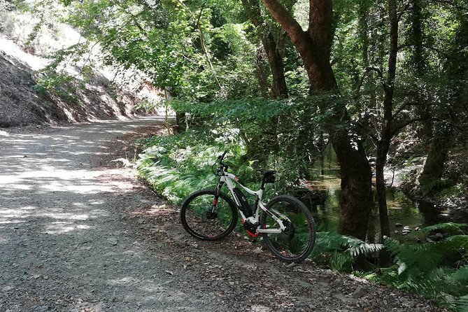 Explore Paphos forest with e-mountain bikes - Who should book this forest ride