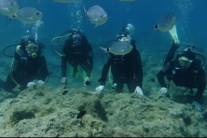 First Time Scuba Dive Adventure, Makronissos, Ayia Napa - A first scuba experience built around confidence