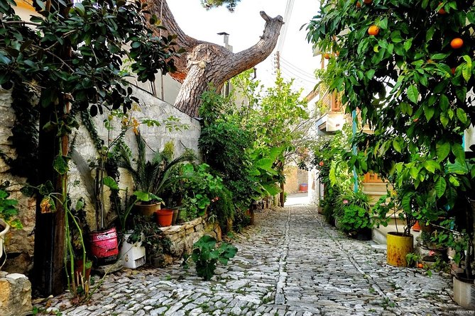 Gourmet Cyprus Tour – Local Flavors & Wine from Paphos - Foini and handmade loukoumi