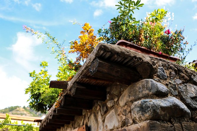 Gourmet Cyprus Tour – Local Flavors & Wine from Paphos - Laneia, a painted village with a wine-making past