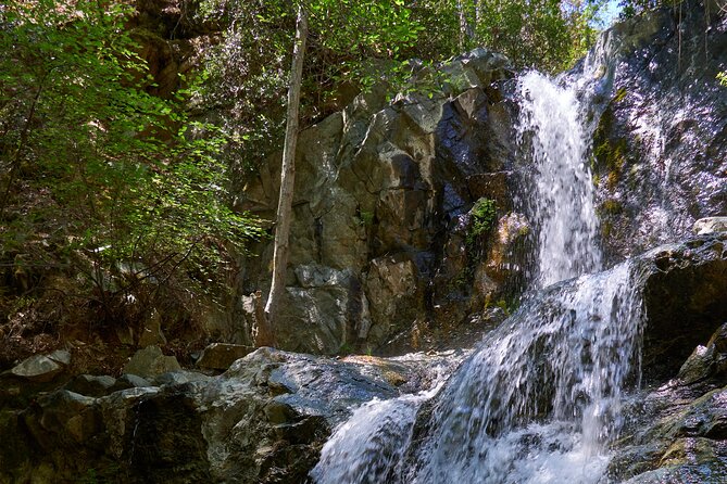 Grand Tour Full Day Jeep Safari from Larnaka - Timing, pickup, and overall value
