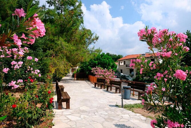 Grand Tour Full Day Jeep Safari from Paphos - Key points to know before booking