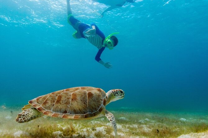 Guided snorkeling trip to the turtles in Protaras - How much time will you spend in the water?