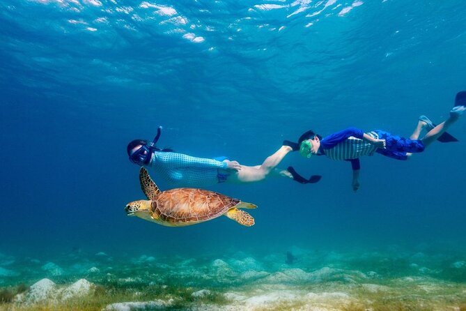 Guided snorkeling trip to the turtles in Protaras - Who will enjoy this outing most?