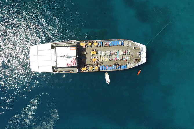 Half Day BBQ Lunch Cruise from Paphos - A Paphos cruise built around lunch and swimming