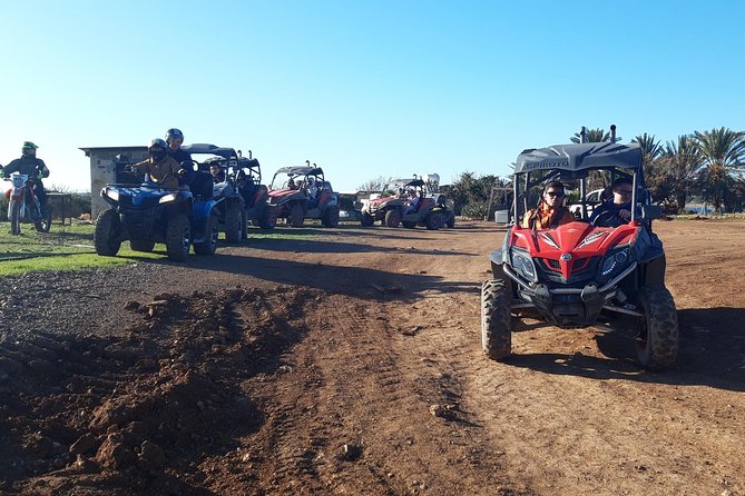 Half-Day Buggy Safari to Akamas Peninsula with Lunch - Pickup, cancellation, and timing details