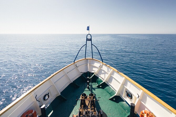 Half-Day Odyssey Guided Boat Safari with Lunch in Cyprus - Starting at Larnaca Marina and meeting the crew