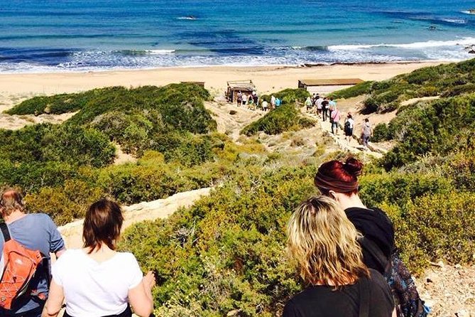 Half day Safari Tour to Akamas Peninsula from Paphos - Walking into Avakas Gorge