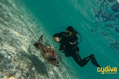 Half-Day Scuba Diving Tour – Discover Scuba Diving!