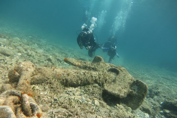 Half-Day Scuba Diving Tour - Discover Scuba Diving! - Weather, flights, and practical timing