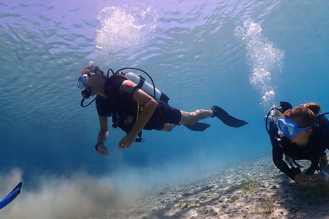 Introductory diving in small groups - Why Small Groups Matter Underwater