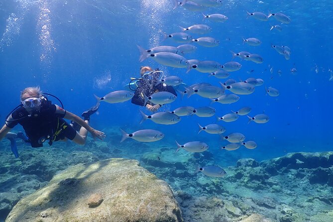 Introductory diving in small groups - Who Will Get the Most From This Session