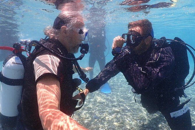 Introductory diving in small groups - Fish, Statues, and the Chance of a Turtle