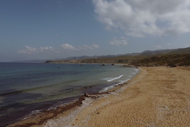 Jeep Safari Akamas from Paphos - Lara Beach and the turtle question