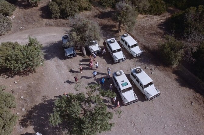 Jeep Safari Akamas from Paphos - How much value do you get for $81.48?