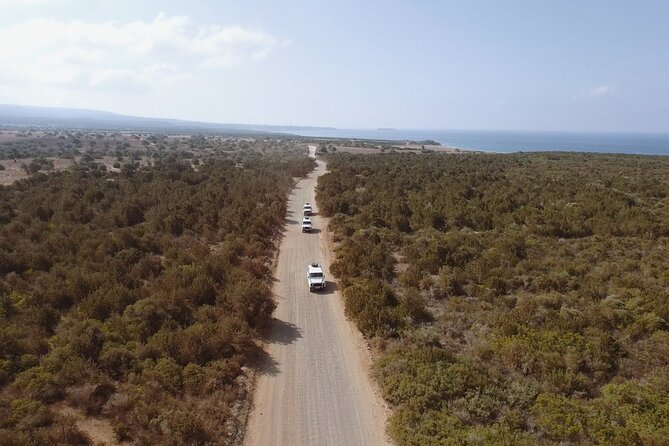 Jeep Safari Akamas from Paphos - Avakas Gorge and the need for sturdy shoes