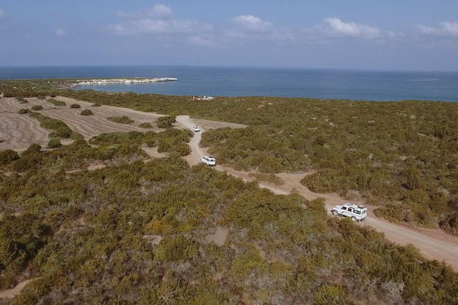 Jeep Safari to Akamas from Limassol - Five things to know before booking