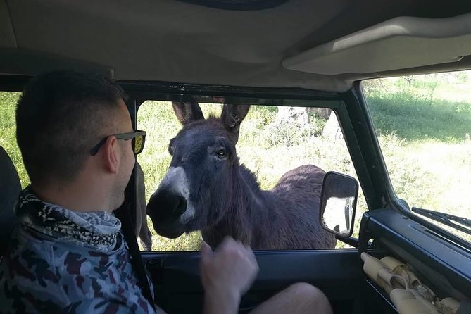 Jeep Safari to Akamas National Park: Avakas Gorge Tour from Paphos - Baths of Aphrodite: pretty, brief, and easy to overrate