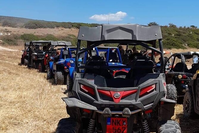 Lara Bay & Adonis Falls Quad & Buggy Tour - Choosing between a quad, buggy, and mini Jeep
